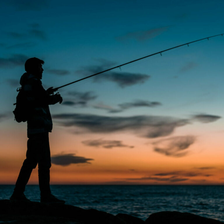 AFS Fishing Safari 2